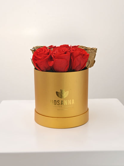 Box Eterno Amor