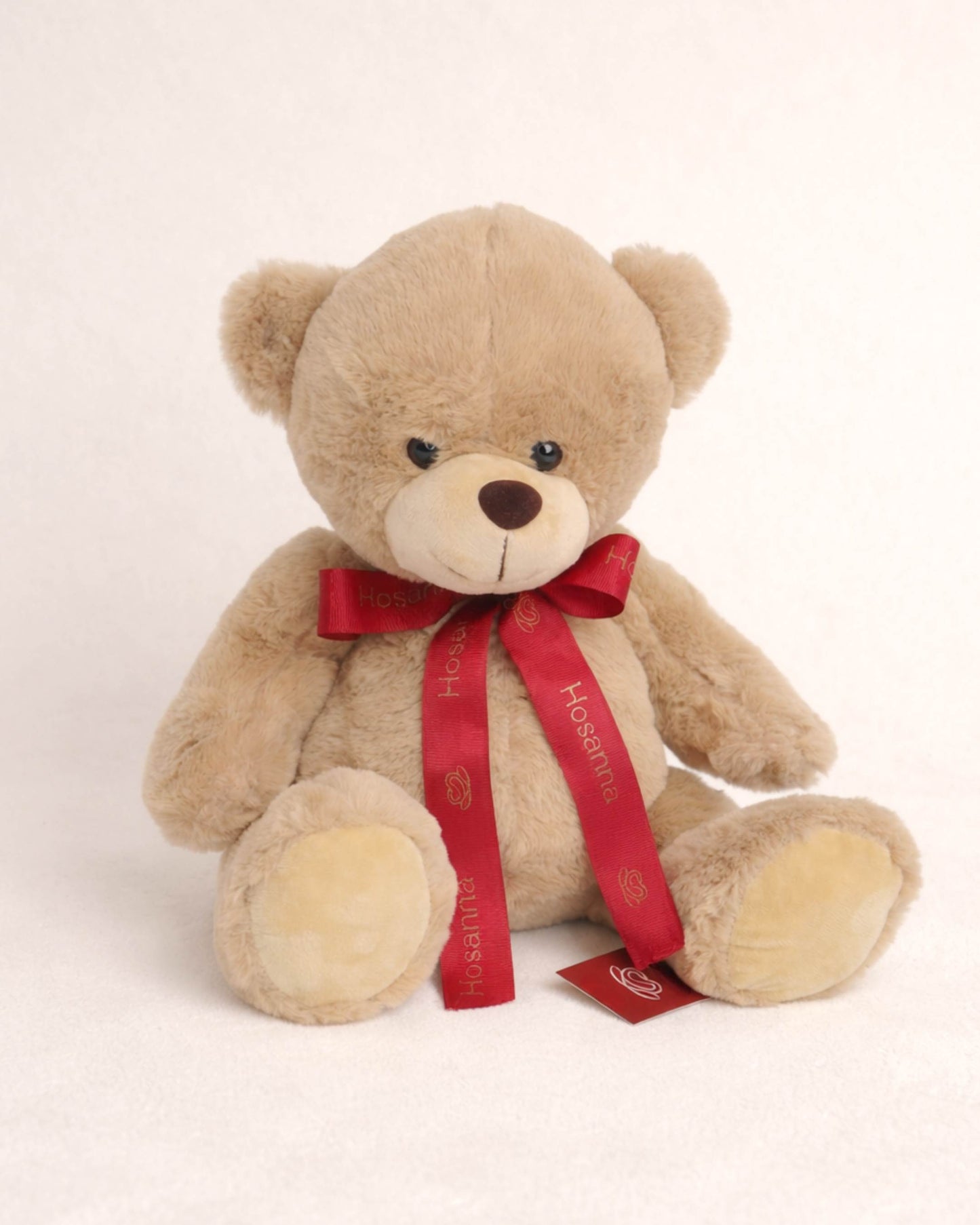 Hosanna Teddy