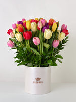 Sinfonía de Primavera